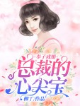 《奉子成婚：总裁的心尖宝》小说完结版在线阅读 周晓苒陆峥小说全文